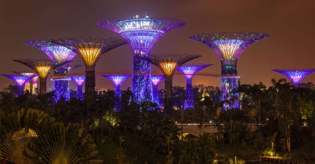 Die beleuchteten Gardens by the Bay in Singapur.