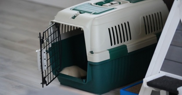 Katzenbox ohne Katze.