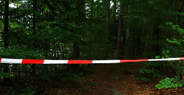 abgesperrter Waldbereich