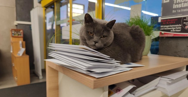 Corona liegt auf der Post | Credit: Lilli Platzer