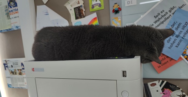 Corona liegt auf dem Drucker | Credit: Lilli Platzer