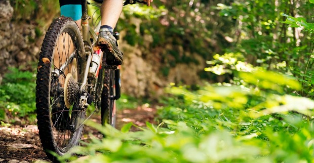 Räder eines Mountainbikes, das auf einer Forststraße fährt