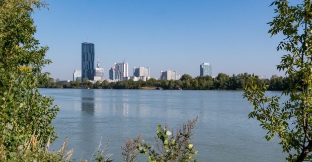 Blick über die Neue Donau in Wien mit Skyline der Donau City im Hintergrund, eingerahmt von grünem Uferbewuchs und blauem Himmel.