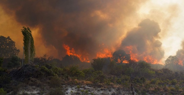 Waldbrand mit hoher Rauchentwicklung in hügeligem Gelände, Bäume brennen, dichte schwarze Rauchwolken steigen in den Himmel.