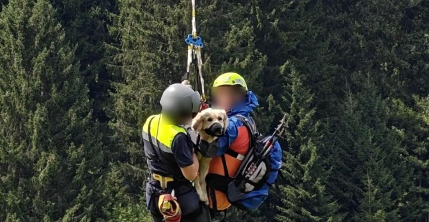 Zwei Mitglieder der Bergrettung und eine Hündin