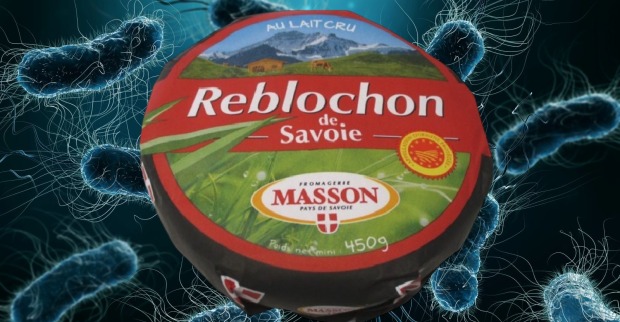 Foto des von E-Coli-Bakterien Käse-Produktes vor einer Horde aus E-Coli-Bakterien