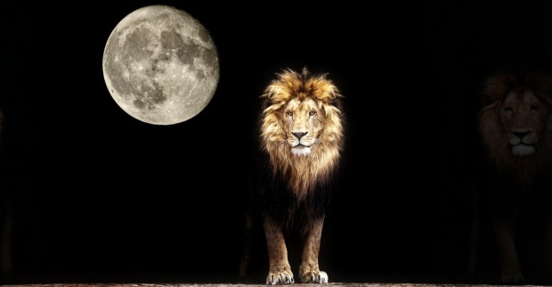 Vollmond im Löwen 2026 – leuchtender Mond am Nachthimmel neben einem Löwen als Symbol für Stärke, Mut und die astrologische Energie des Februar-Vollmonds.