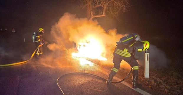 Einsatzkräfte der Feuerwehr Frankenfels bei Löscharbeiten an einem ausgebrannten Pkw, der gegen einen Baum geprallt ist