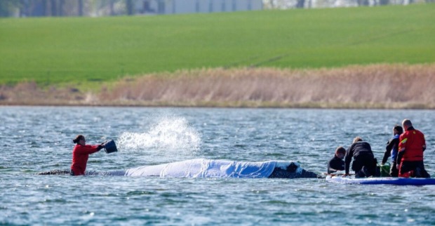 Rettungsversuch um einen gestrandeten Wal.