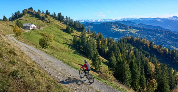 Mountainbikerin fährt auf Alpenweg durch grüne Berglandschaft mit Panorama