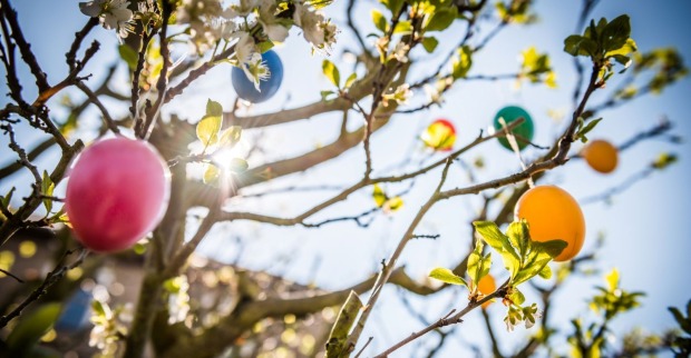 Bunter Ostereier an einem Baum, sonniges Wetter.