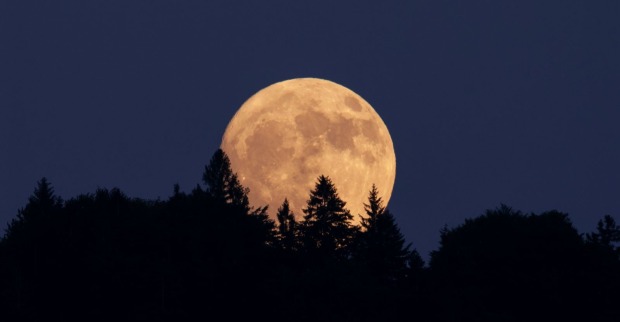 Der Vollmond im April wird „Pinker Mond“ genannt.