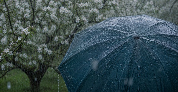 Regenschirm im starken Regen im Frühling – Symbolbild für Bauernregel im Mai und Bedeutung von Niederschlag