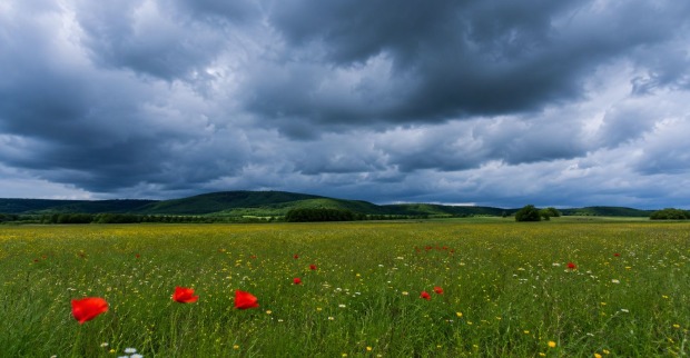 Kaltfront mit dunklen Gewitterwolken über grüner Wiese in Österreich, Wetterumschwung nach Hitzewelle