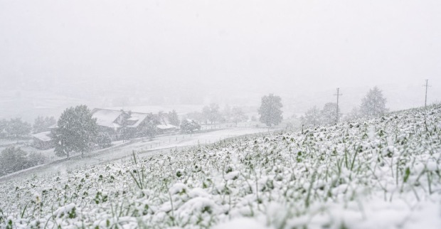 Schnee Österreich Mai Kaltfront Wintereinbruch Wetter Schnee Landschaft Alpen Wetterumschwung