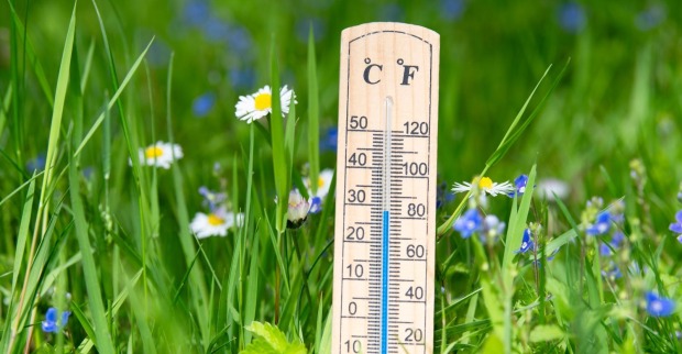 Ein Thermometer in grünen Gras.