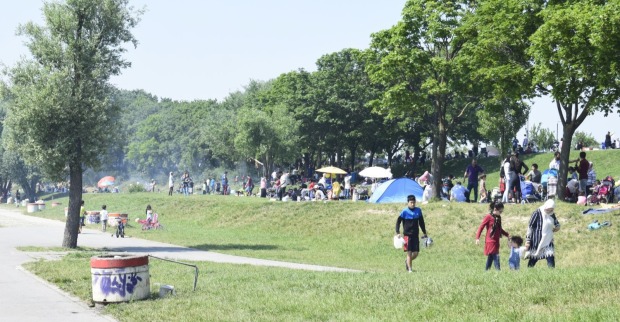 Grillplatz auf der Wiener Donauinsel, an dem im Mai 2026 ein Grillverbot erlassen wurde