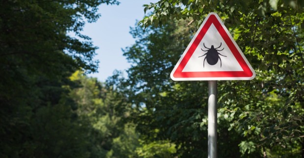 Warnschild vor Zecken die das Alongshan Virus in Österreich übertragen