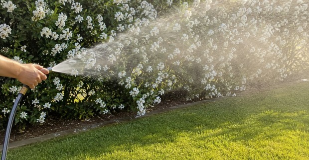 Garten wird mit Schlauch bewässert – Symbolbild für Gießverbot bei Trockenheit und Japankäfer in Deutschland