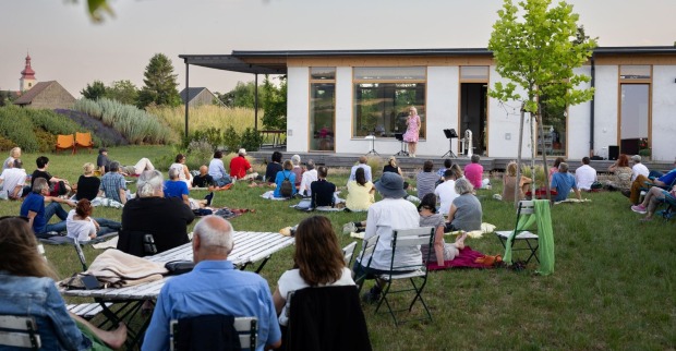 Konzert_in_der_Wiese