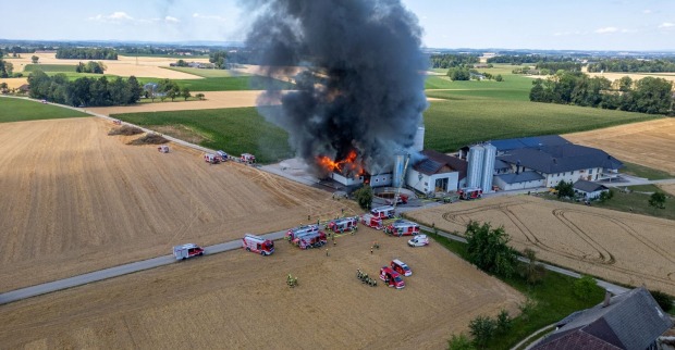 Ein Stallgebäude geht in Flammen auf und schwarzer Rauch ist zu sehen