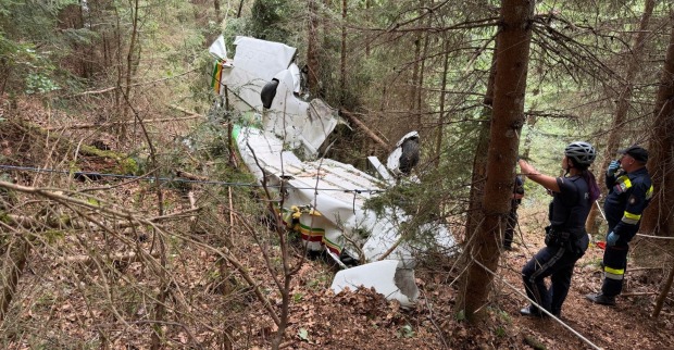 Kleinflugzeug Absturz Gaming Niederösterreich Wrack im Wald Einsatzkräfte Bergung Unfallstelle
