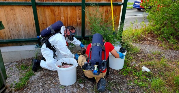 Feuerwehr Hallwang bei Salzburg entsorgt Tierinnereien unter Atemschutz neben Bushaltestelle an der B1