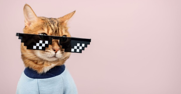 Katze mit Brillenemoji | Credit: Svetlana Rey/Shutterstock