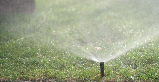 Eine Sprenkelanlage in einem Garten.