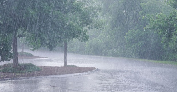 Starker Regenfall auf einer Straße mit Bäumen.