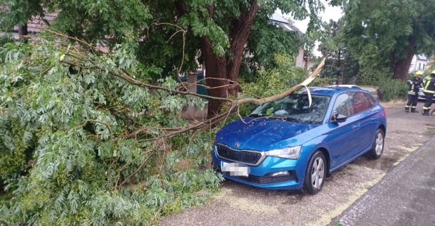 Umgestürzter Baum beschädigt Auto nach Unwetter mit Starkregen und Sturm in Sollenau Niederösterreich Feuerwehr im Einsatz