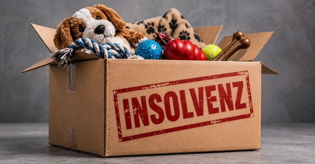 Kiste mit Hundespielzeug auf der Insolvenz geschrieben steht