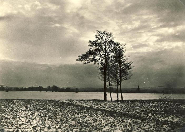 芸術写真 SMUTNA KRAJINA SAD LANDSCAPE Josef Sudek Josef Sudek: Smutná krajina / Sad Landscape | Knihkupectví a