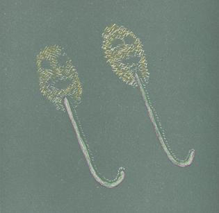 2.IA