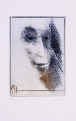 Karel Šafář – Ex Libris NH 