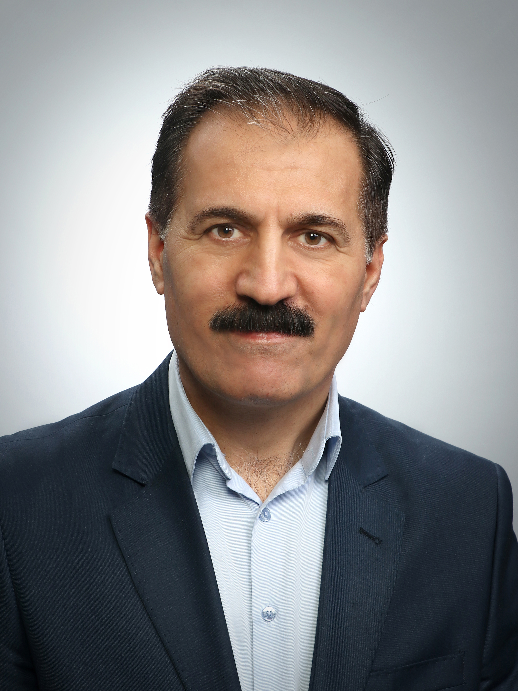 Habibi  Zarabad Karim