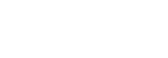 Felis Creative Class