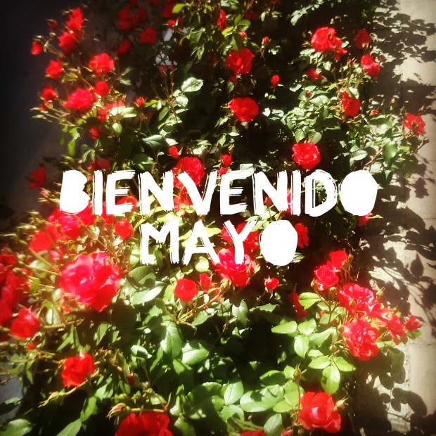 mayo