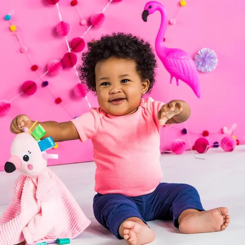 BRIGHT STARTS Maznacia dečka s hlavou Cuddle'n Tags plameniak 0m+