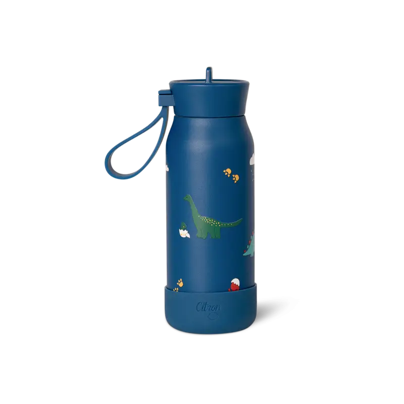 Citron Lahev na vodu Mini, 250 ml - Blue Dino