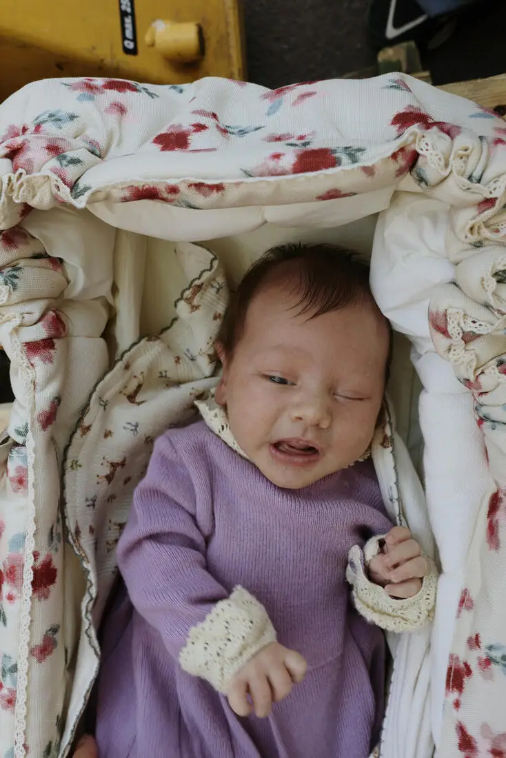 Elodie Details Baby Lift prenosné hniezdo - Vintage Florals