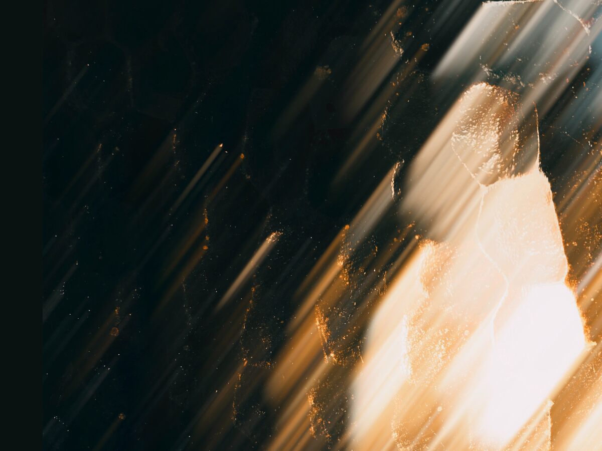 مبادئ المالية (1) - مال 1100