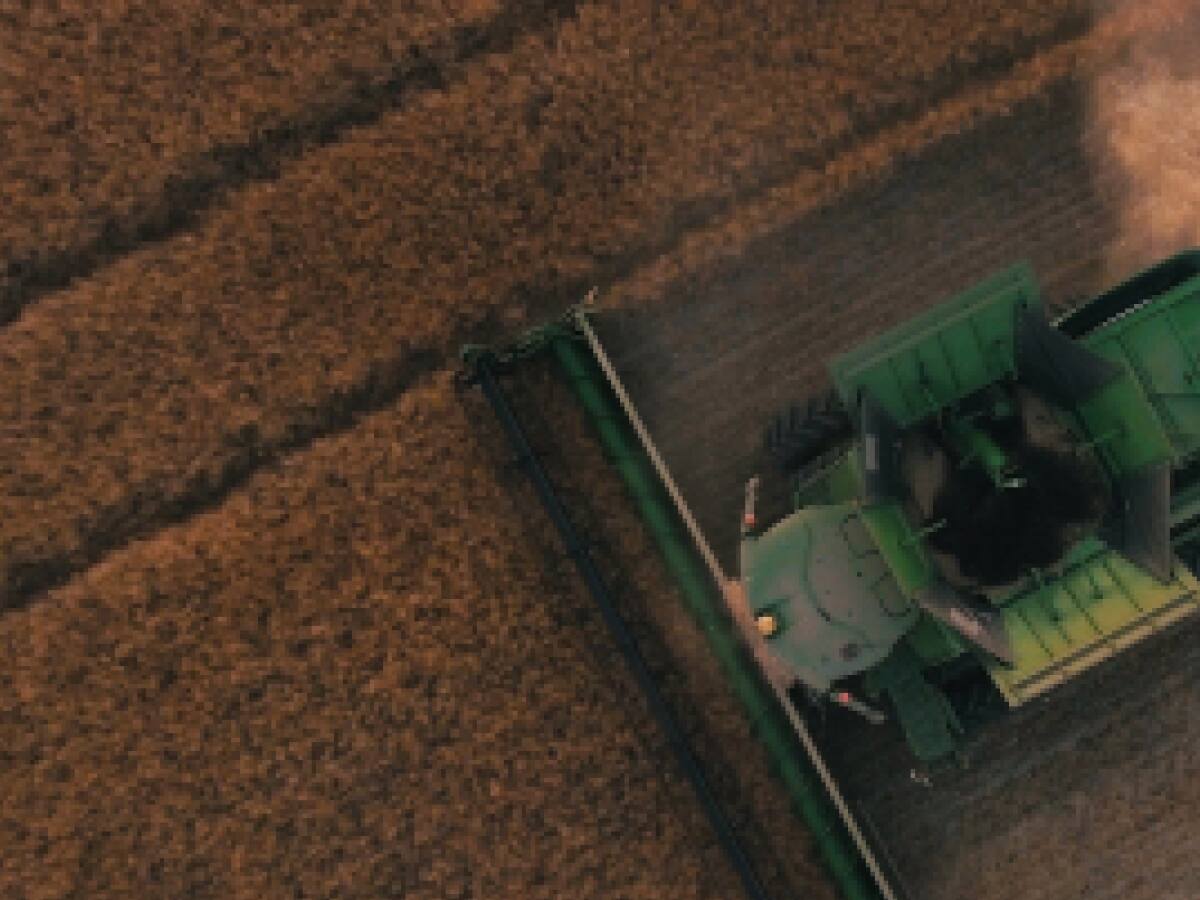 الزراعة المنزلية