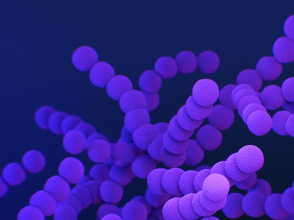 CHEMY 101 - General Chemistry