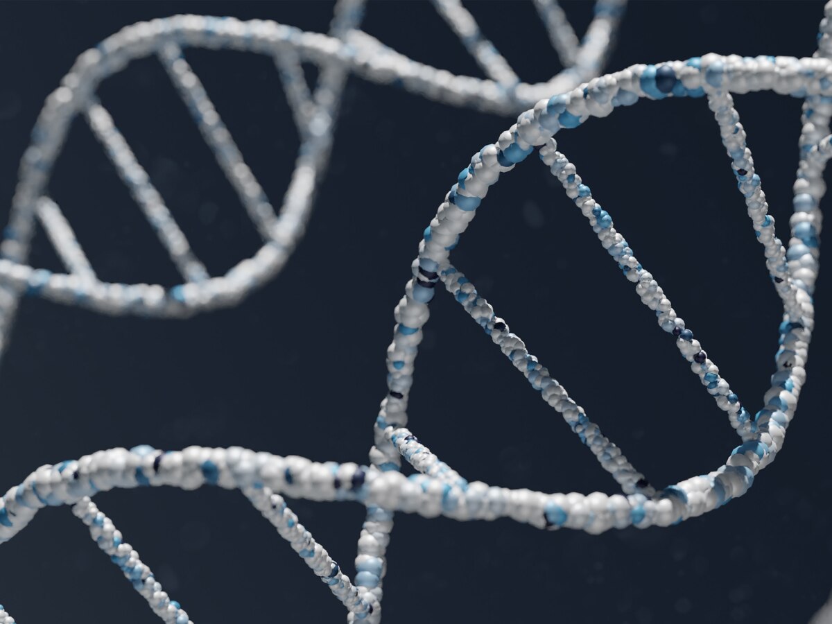 كيمياء عضوية 2 - كيم 242