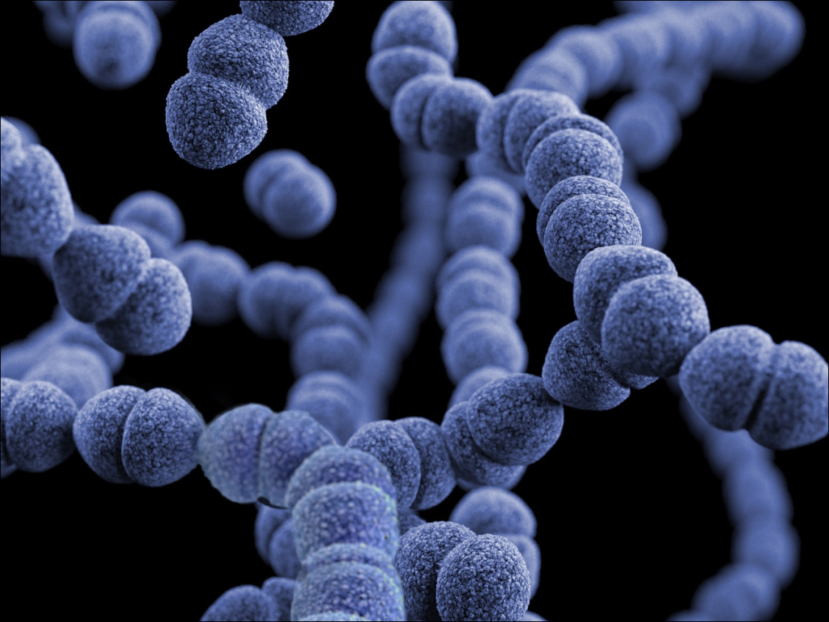 كيمياء عضوية - كيم 140