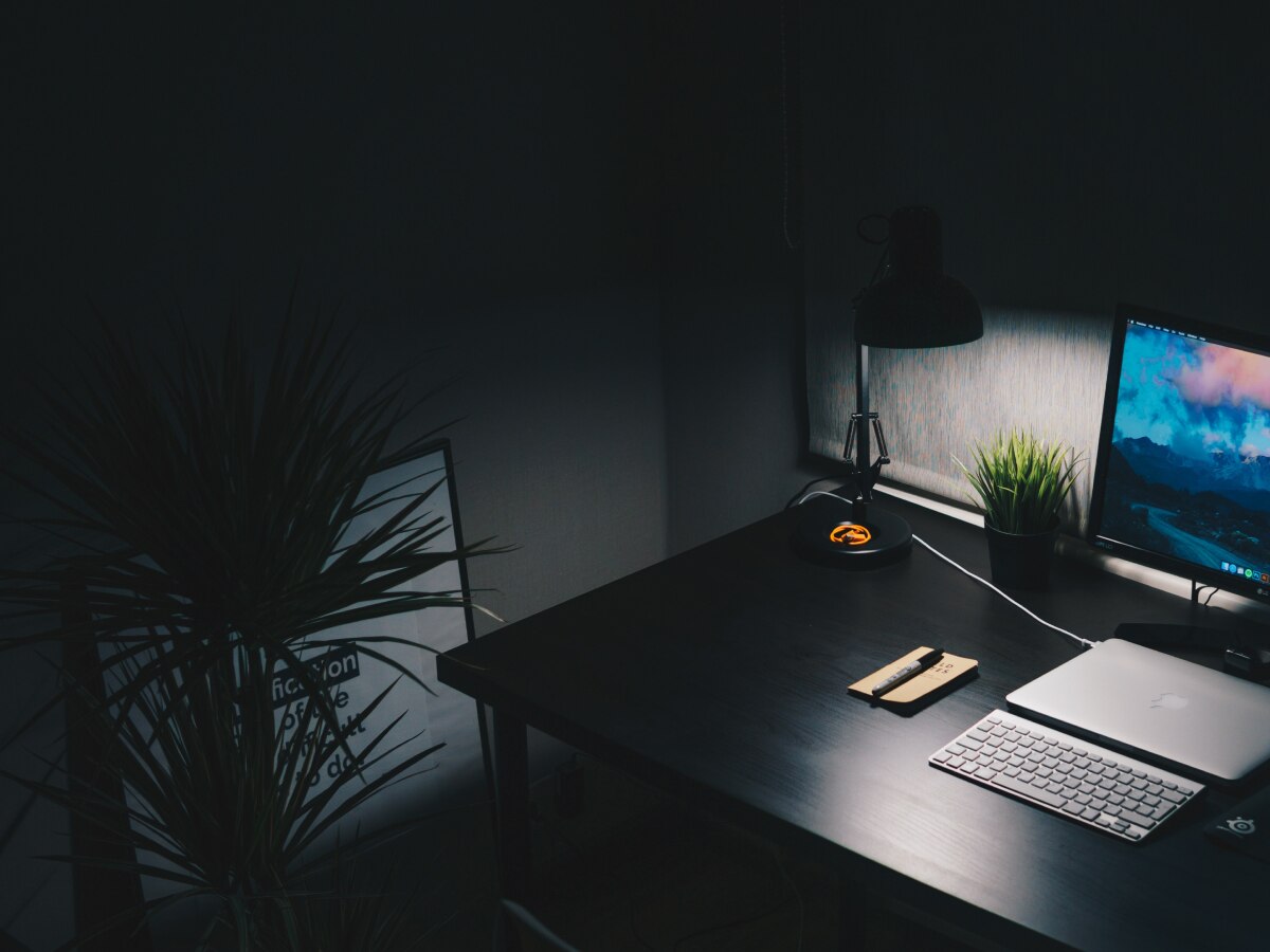 Programming 1 - CSS 202