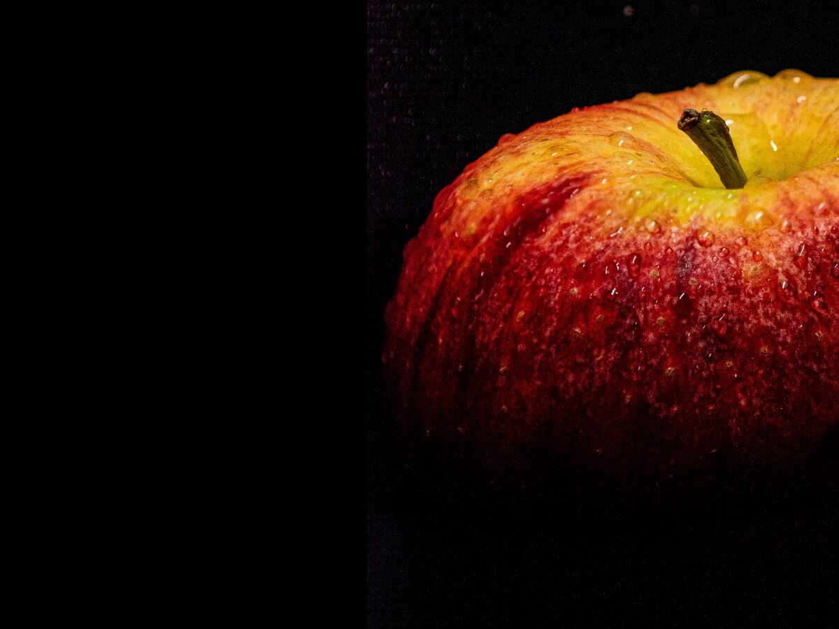 الفيزياء العامة - فيز 104