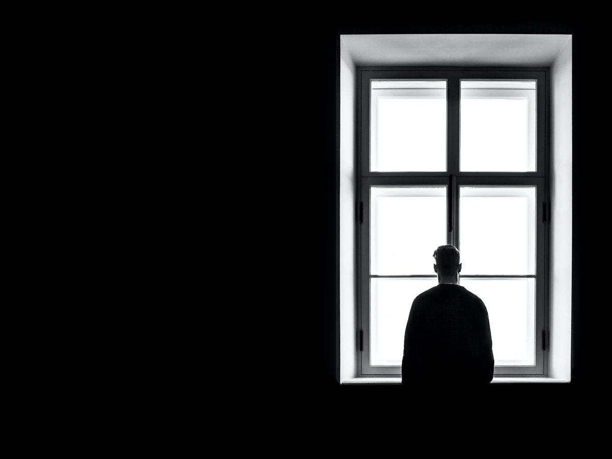 Anatomy (End term) - Year 2