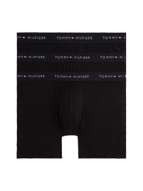 3P BOXER BRIEF WB